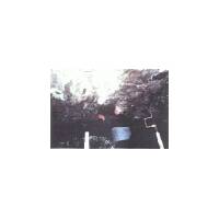 Fixing the 600mm x 600mm plaster board slab to the soffit of the arch.  The slab was intended to accommodate bats.