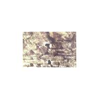 Close up veiw of voids in the arch masonry occupied by bats.
These holes would be preserved.